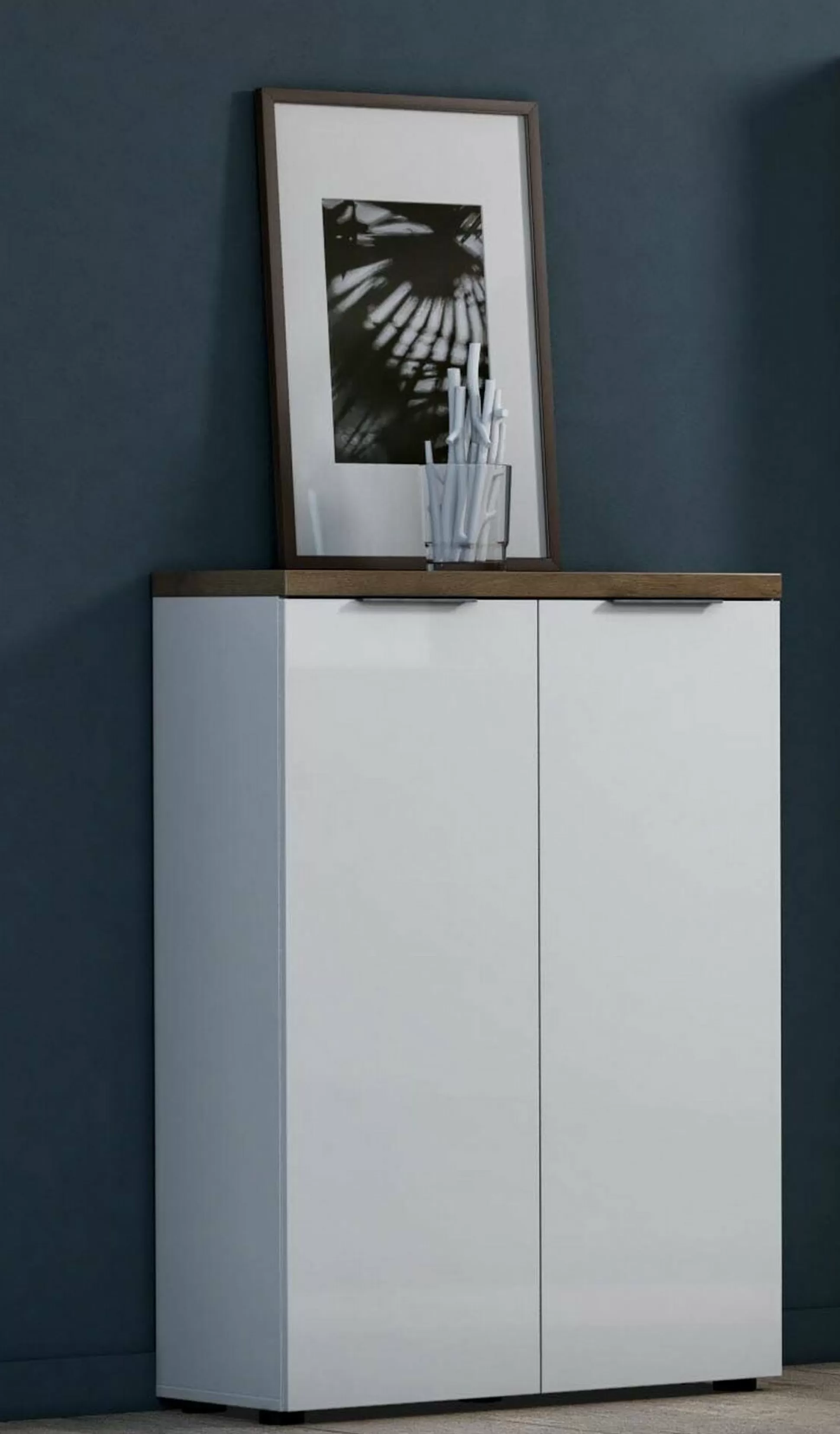 Dmora Armadi Multiuso 2 Ante<Armadio multiuso 2 ante Ddifilipp, 80x34h115 cm, Bianco lucido e Rovere