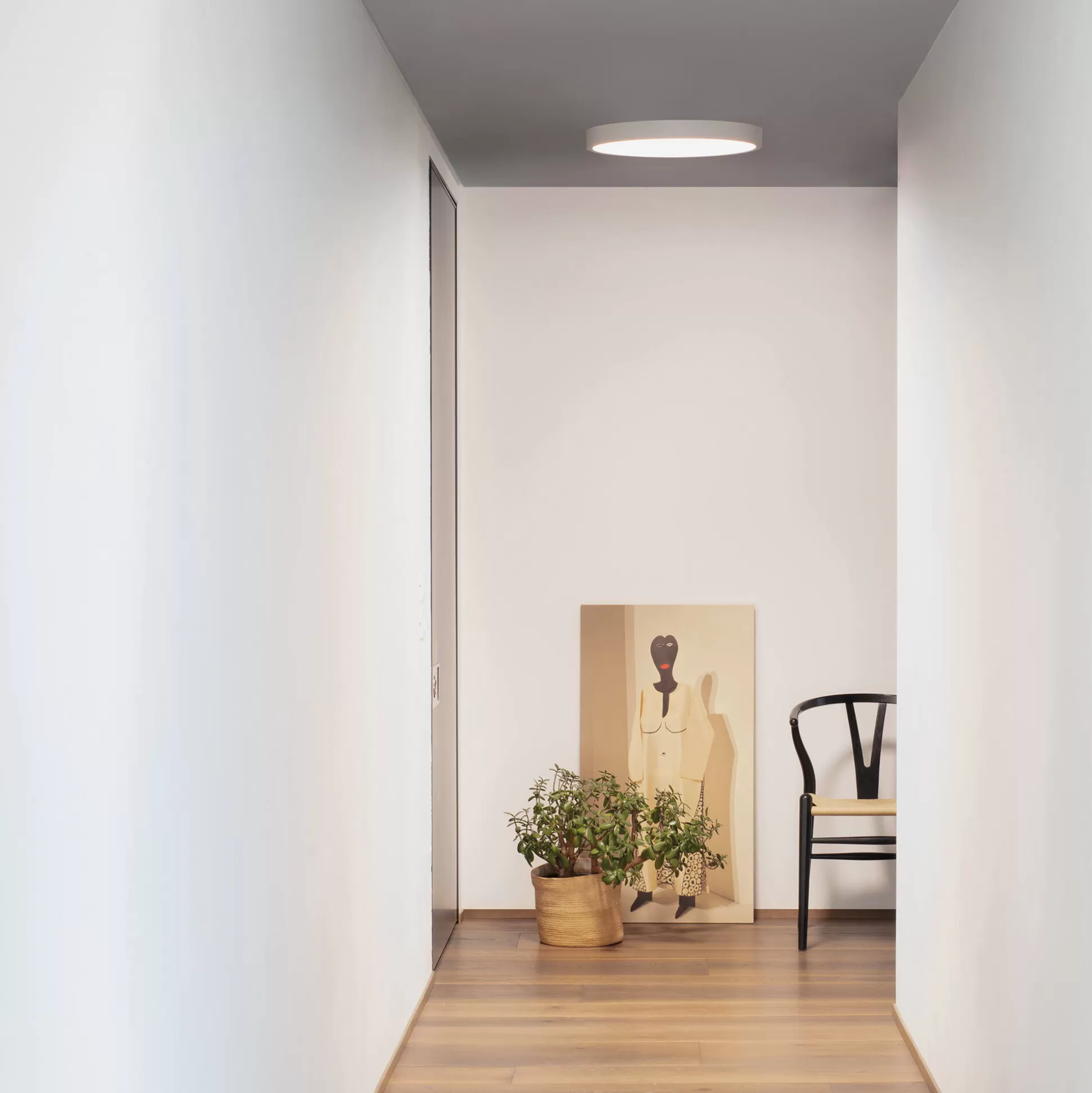 Dmora Lampade Da Soffitto<Ideal-Lux - Lampada da soffitto RAY PL D40 , 40 x 40 x h7 cm,